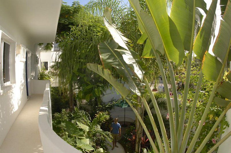 Aqualuna Boutique Hotel By Sunrise (Adults Only) Playa del Carmen Luaran gambar